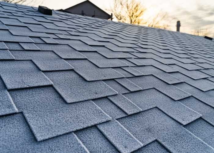 Asphalt Shingles