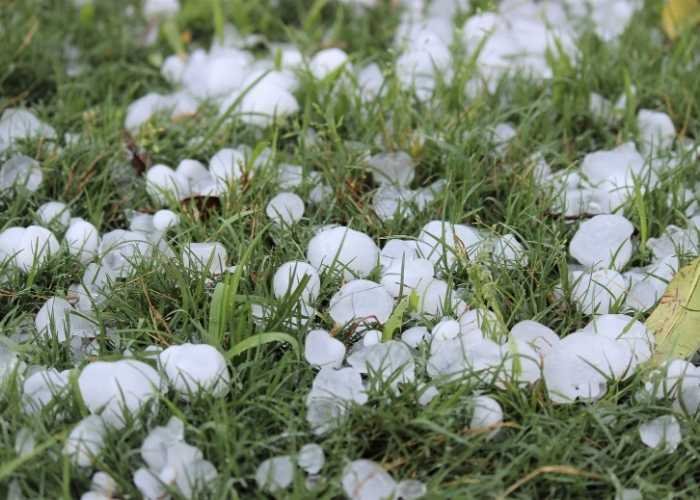 Hail Damage Roofing